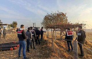 Üzüm ağacının köküne gizlenmiş uyuşturucu...