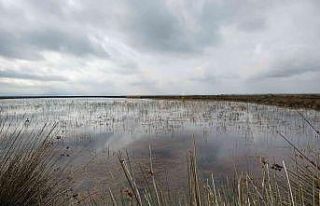 Vali Dağlı: “Su potansiyelimizi etkili ve verimli...