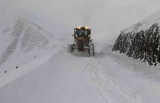 Van-Bahçesaray yolu tek şeritten ulaşıma açıldı