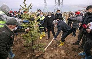 Van Büyükşehir Belediyesi 2021 yılında yeşil...