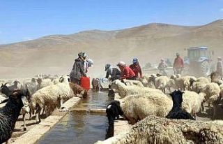Van Büyükşehir Belediyesi bir yılda kırsal kalkınmaya...