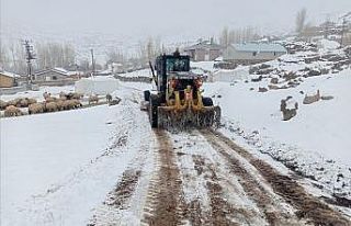 Van Büyükşehir Belediyesinden karla mücadele çalışması
