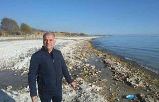 Van Gölü’nün çekilmesiyle mikrobiyalitler ortaya...