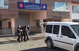 Van’da 12 organizatör yakalandı