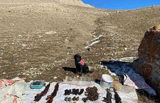 Van’da araziye gizlenmiş silah ve mühimmat ele...