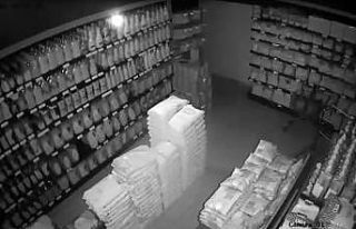 Van’da deprem anı güvenlik kameralarına yansıdı