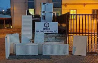 Van’da hırsızlık şüphelisi tutuklandı