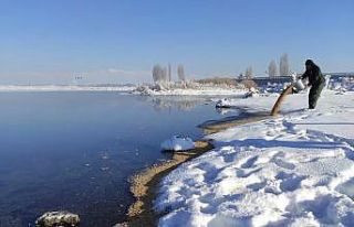 Van’da yaban hayvanlarına yem desteği