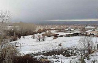 Van’ın kent merkezine mevsimin ilk karı yağdı