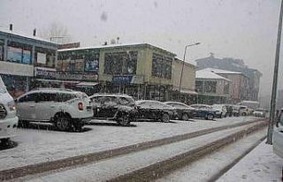 Varto’da kar yağışı