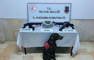 ’’Venüs’’ tespit etti, 847 gram uyuşturucu...