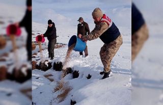 Yaban hayvanları için doğaya yem bırakıldı