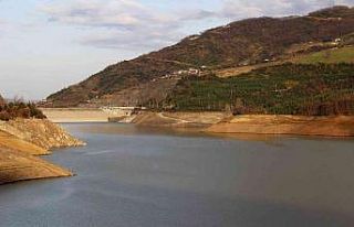 Yağış sonrası Yuvacık Barajında su seviyesi...