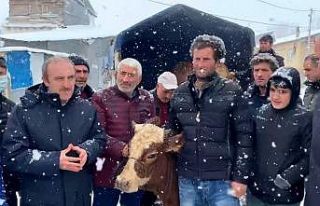 Yangında hayvanları telef olan çiftçiye 10 büyükbaş...