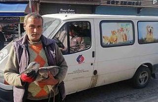 Yaralı kuşa belediye ekipleri sahip çıktı