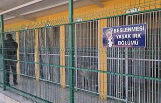 Yasaklı hayvanlar bu merkezdeki özel bölümde rehabilite...