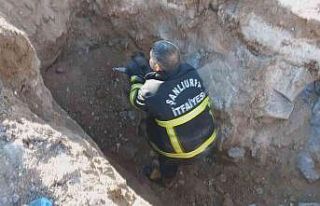 Yavru köpek kanalizasyon borusuna sıkıştı