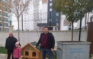 Yenişehir Belediyesi atık malzemelerden sokak hayvanların...