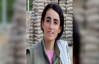 Yeşil kategoride aranan terörist Mardin’de etkisiz...