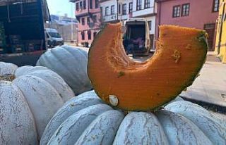 Yılbaşına yakın bal kabağı satışlarında artış...