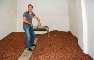 Yılın son gününde fındık fiyatı 30 TL