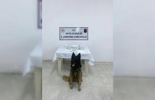 Yolcu otobüsünde 300 bin TL değerinde uyuşturucu...