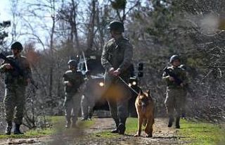 Yunanistan’a yasa dışı yollarla geçmeye çalışan...