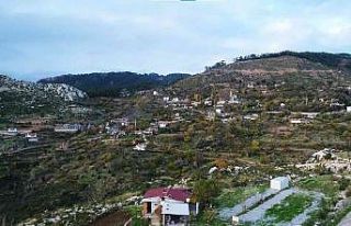 Zeytinköy’ün karası yeşile büründü