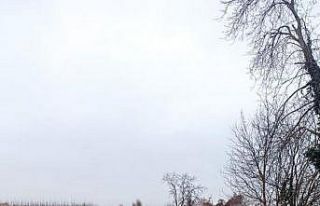 10 bin çuha fide toprak ile buluştu