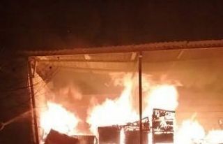 150 kovan yangında küle döndü