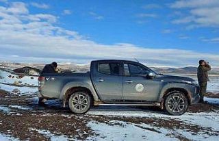 2022 yılı kış ortası su kuşu sayımları tamamlandı