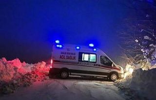 35 kilometrelik yolu 12 saatte aşarak yardım bekleyen...