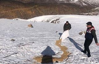3 bin rakımlı Mereto Dağına yaban hayatı için...