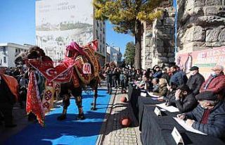 40. Uluslararası Efes Selçuk Deve Güreşleri Festivali...