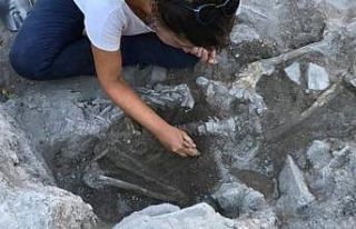 4 bin yaşında insan ve köpek iskeleti bulundu,...