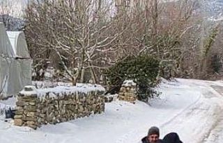 7 kafadar traktöre lastikleri bağlayarak düşe...