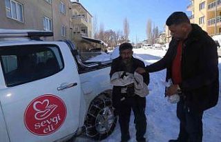 Aç kalan vaşak kediyi parçaladı