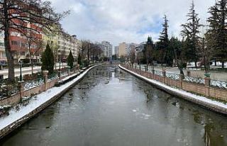Adalar’da bir garip durum