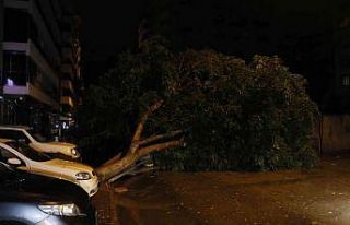 Adana’da sağanak yağış ve rüzgar 7 metrelik...