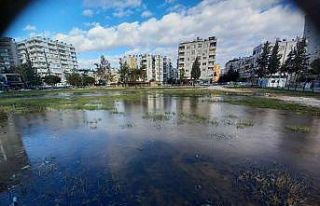 Adana’da su birikintileri buz tuttu
