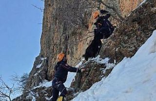 AFAD ekipleri 8 gündür dağda mahsur kalan 7 keçiyi...