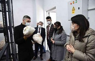 Afyon’dan gelip Düzce Üniversitesini incelediler
