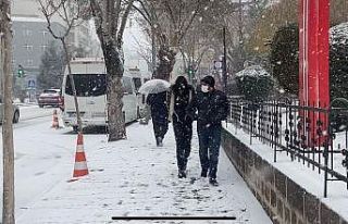 Afyonkarahisar’da kar yağışı etkili oldu