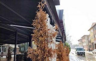 Ağaç dallarında oluşan buz sarkıtları dikkat...