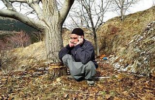 Ağaçları katledilen yaşlı adamın sözleri yürekleri...