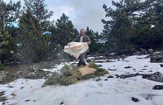 Ağır kış şartlarında doğadaki canlılar unutulmadı