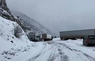 Ağır tonajlı araçlar yolda kaldı, Artvin-Ardahan...