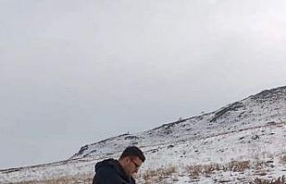 Ağrı Dağı eteklerine yaban hayvanları için yem...