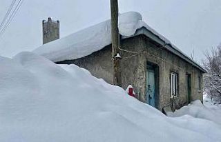 Ağrı’da evler kara gömüldü