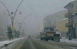 Ağrı’da sis hayatı olumsuz etkiledi